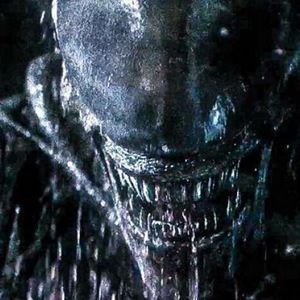 Meet your Posher, Johnny